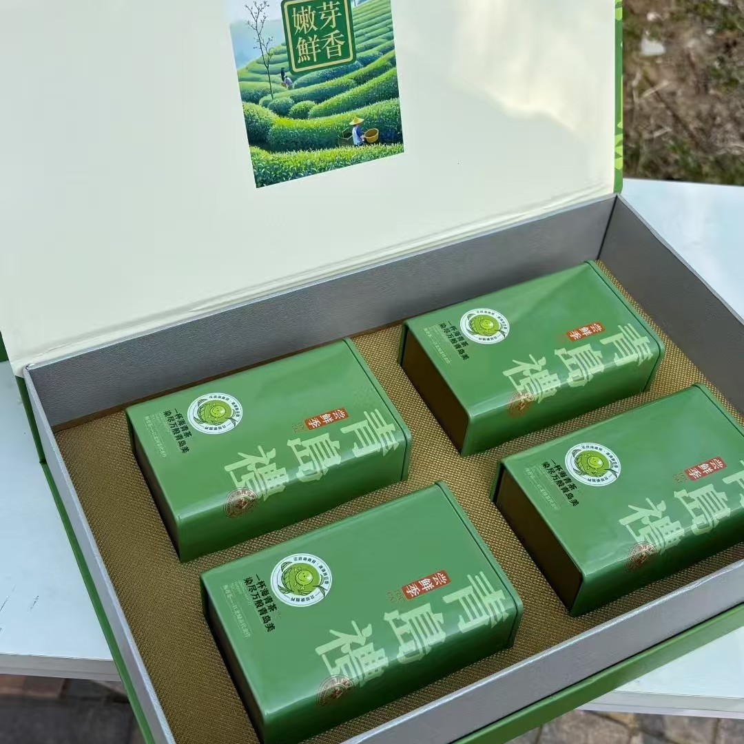 海青绿茶新茶送人好礼