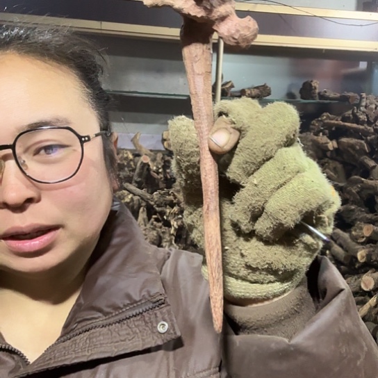 香榧木永****选火琉璃的故事毛料摆件