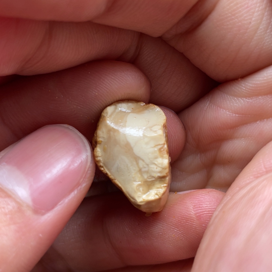 定制琥珀未镶嵌天然蜜蜡