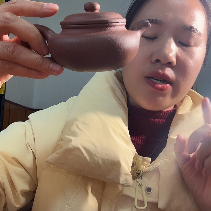 紫砂茶壶紫泥仿古209cc