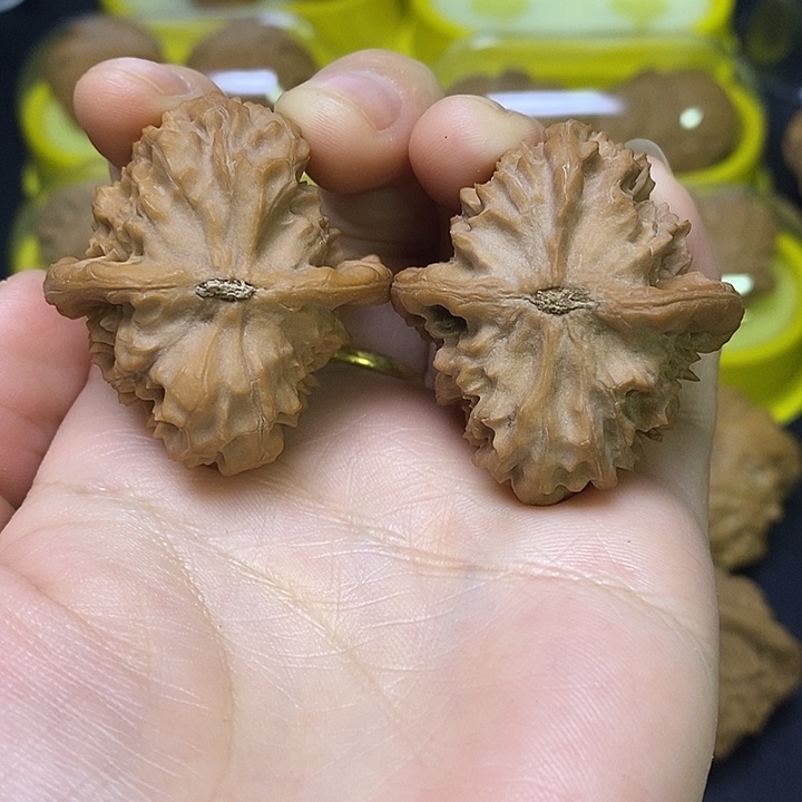 文玩核桃吊坠文玩高端小众太行金顶元宝