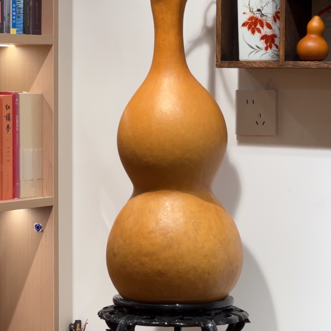 智***葫芦葫芦葫芦葫芦