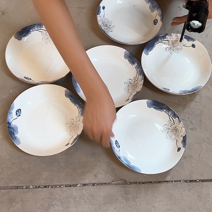 微瑕不退不换不补发 荷花圆盘6支