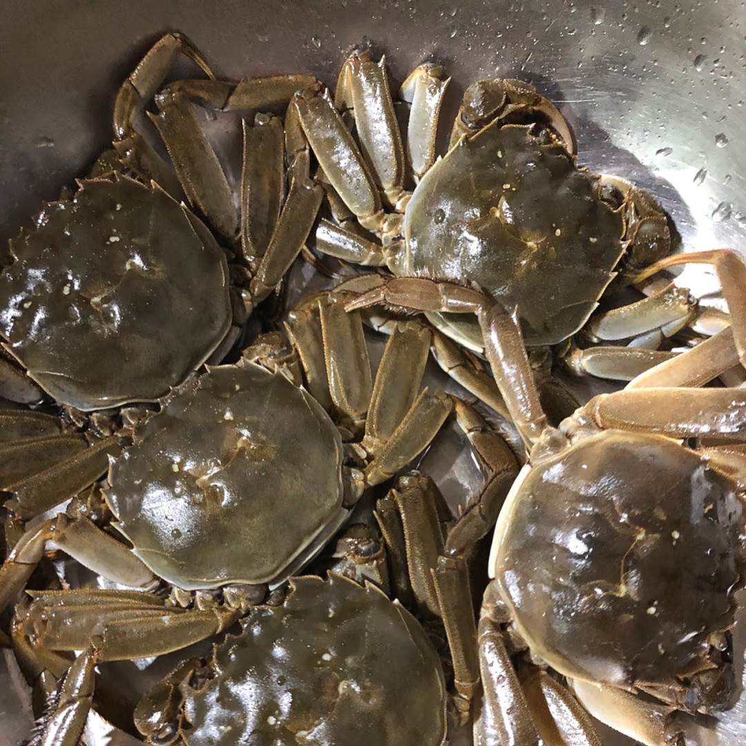 【2 两母蟹】鲜活大闸蟹 一只 20 元  12只200元