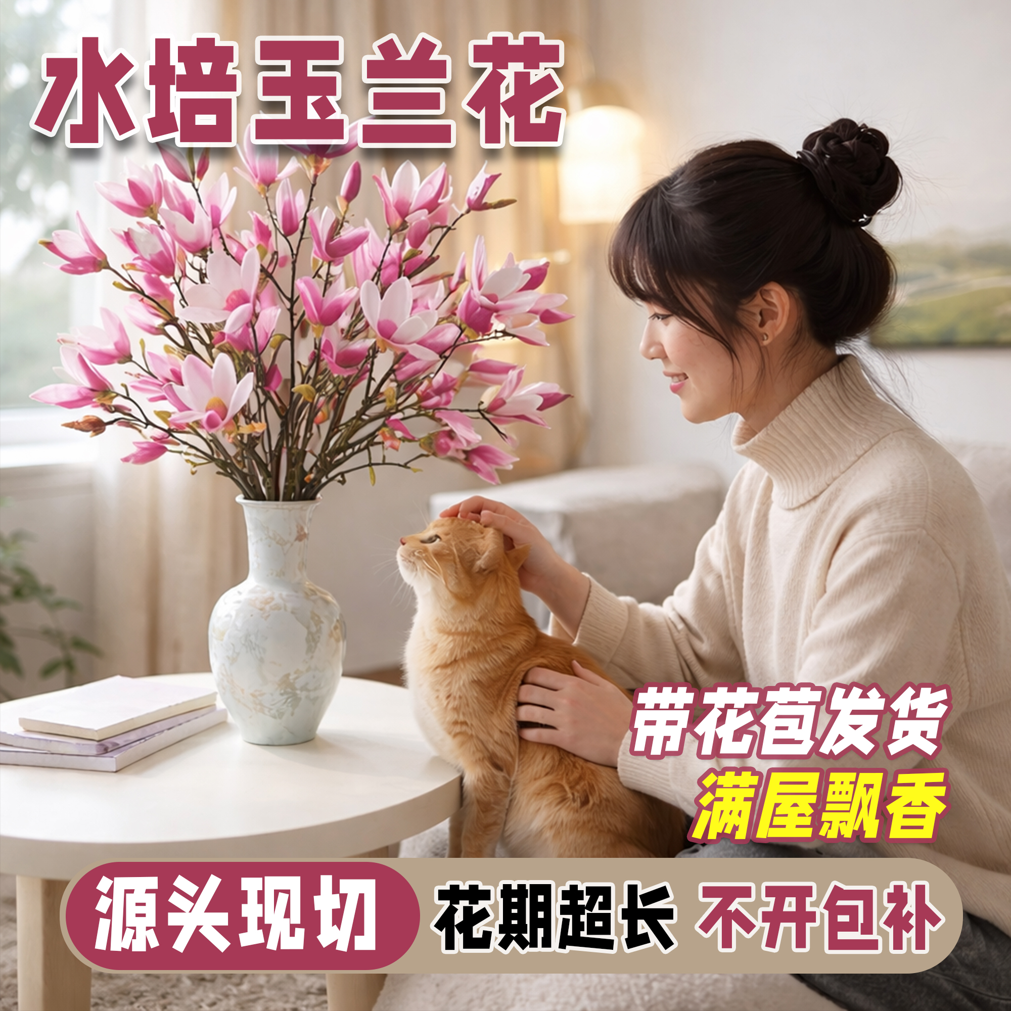 南召基地直供水培玉兰鲜切枝带花苞室内水培花卉客厅＋营养液1包