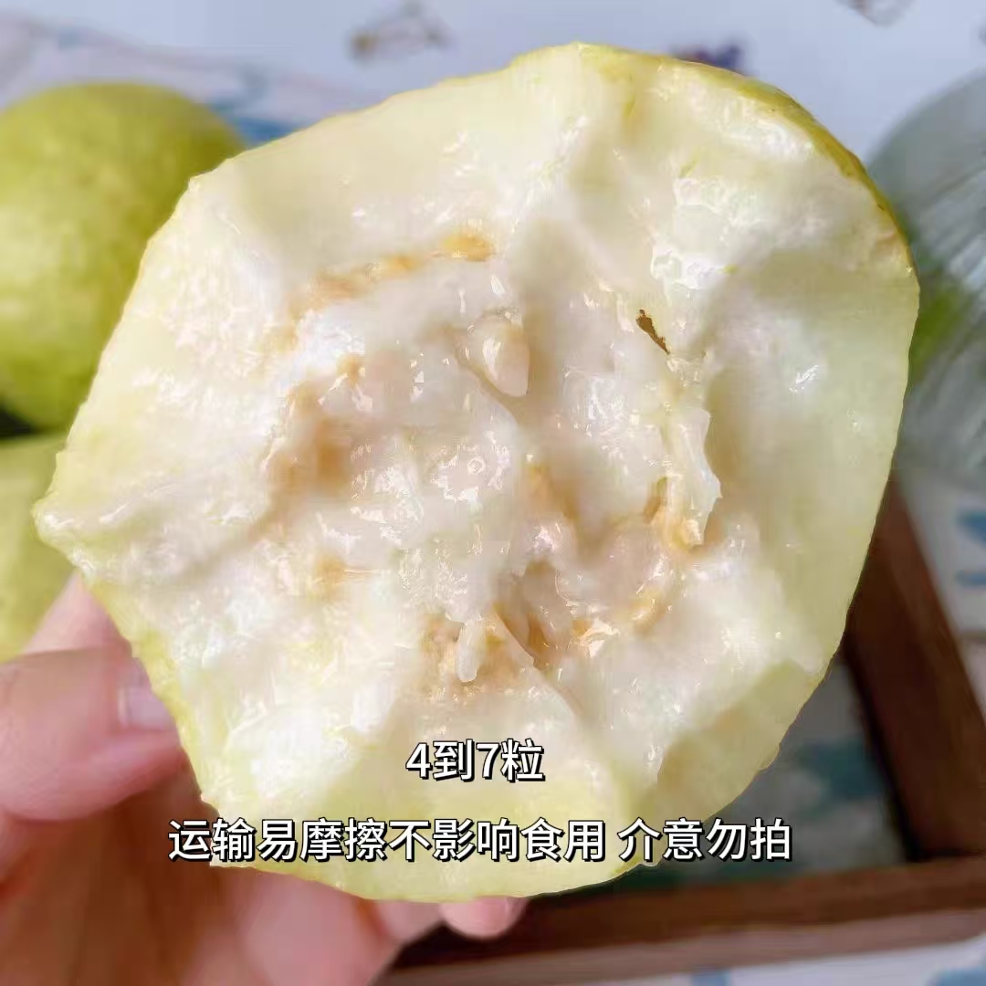 【京东顺丰包邮】白芯芭乐奶油芭乐一箱礼盒装（原箱3斤左右 运输易碰不影响食用介意勿拍）山东省