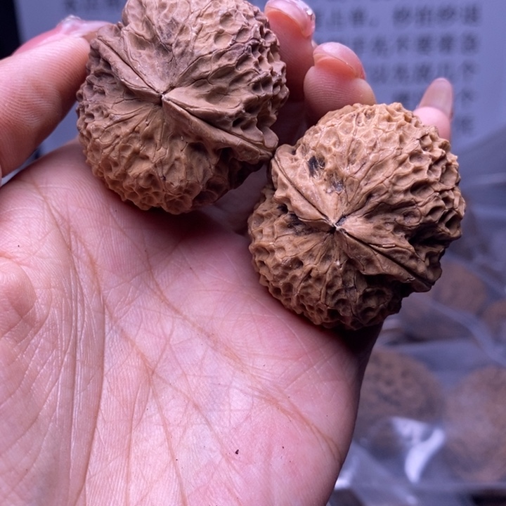 核桃云南野生铁核桃55号39mm
