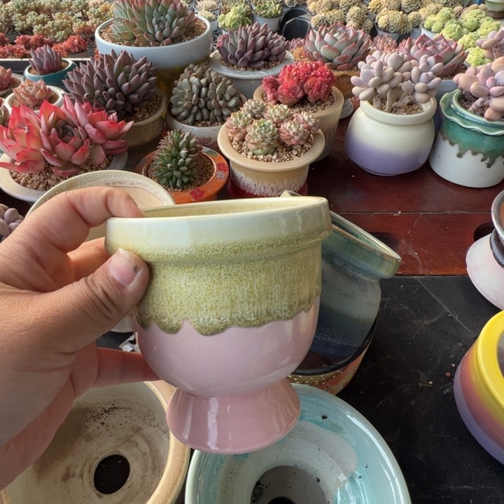 特价花盆 满50发货 内口10