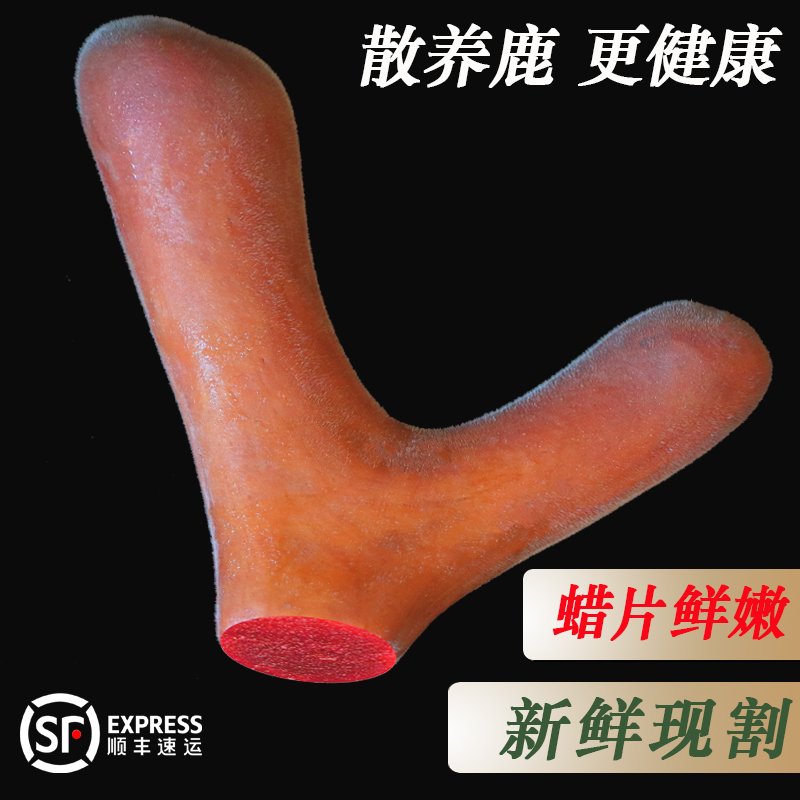 梅花鹿整支鲜鹿茸   直播间现场选茸  改价链接   