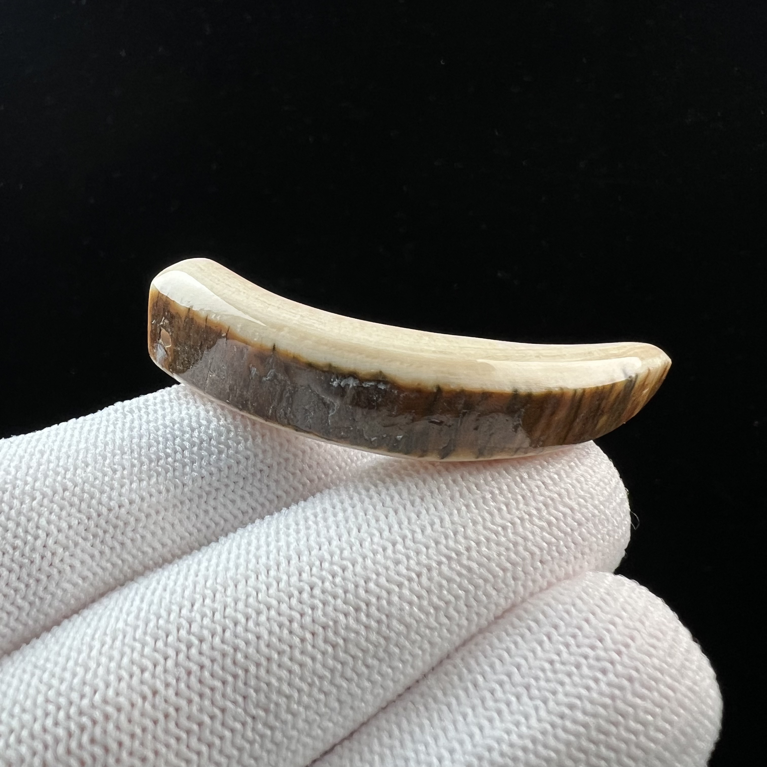 D4168天然猛犸牙 牙尖 50mm支持鉴定 假一罚四