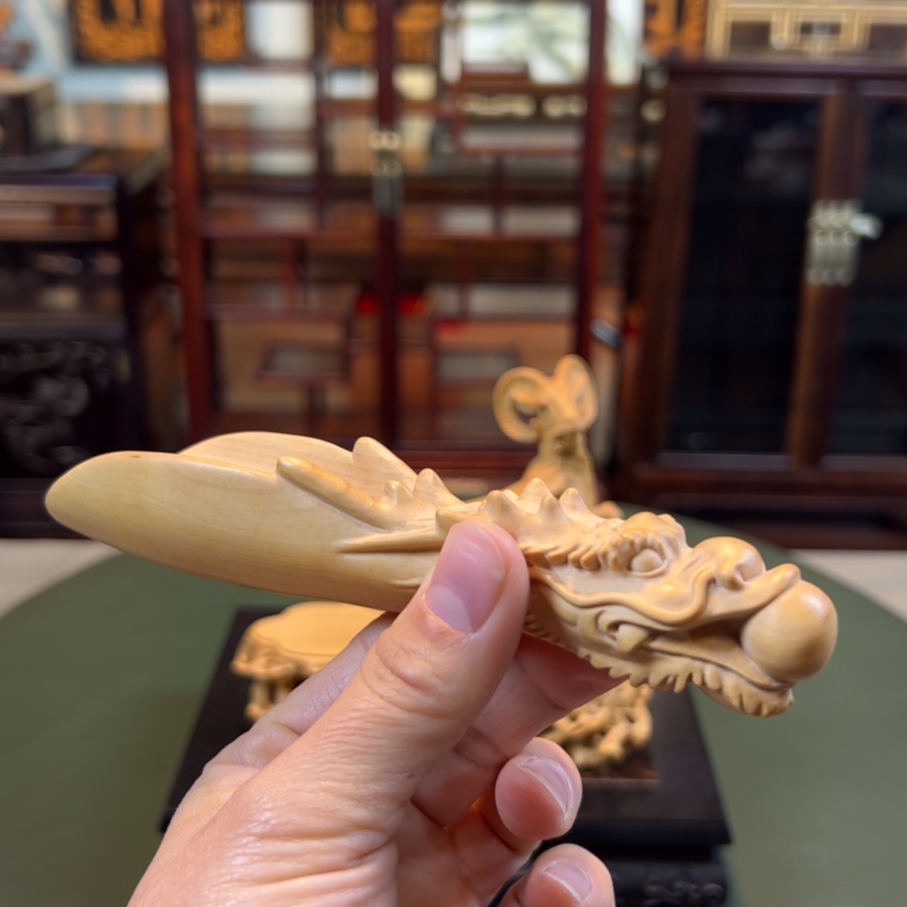 【闪购商品】黄杨木其他黄杨木