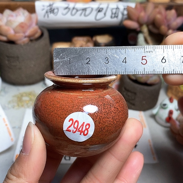 红陶拍5送一个小