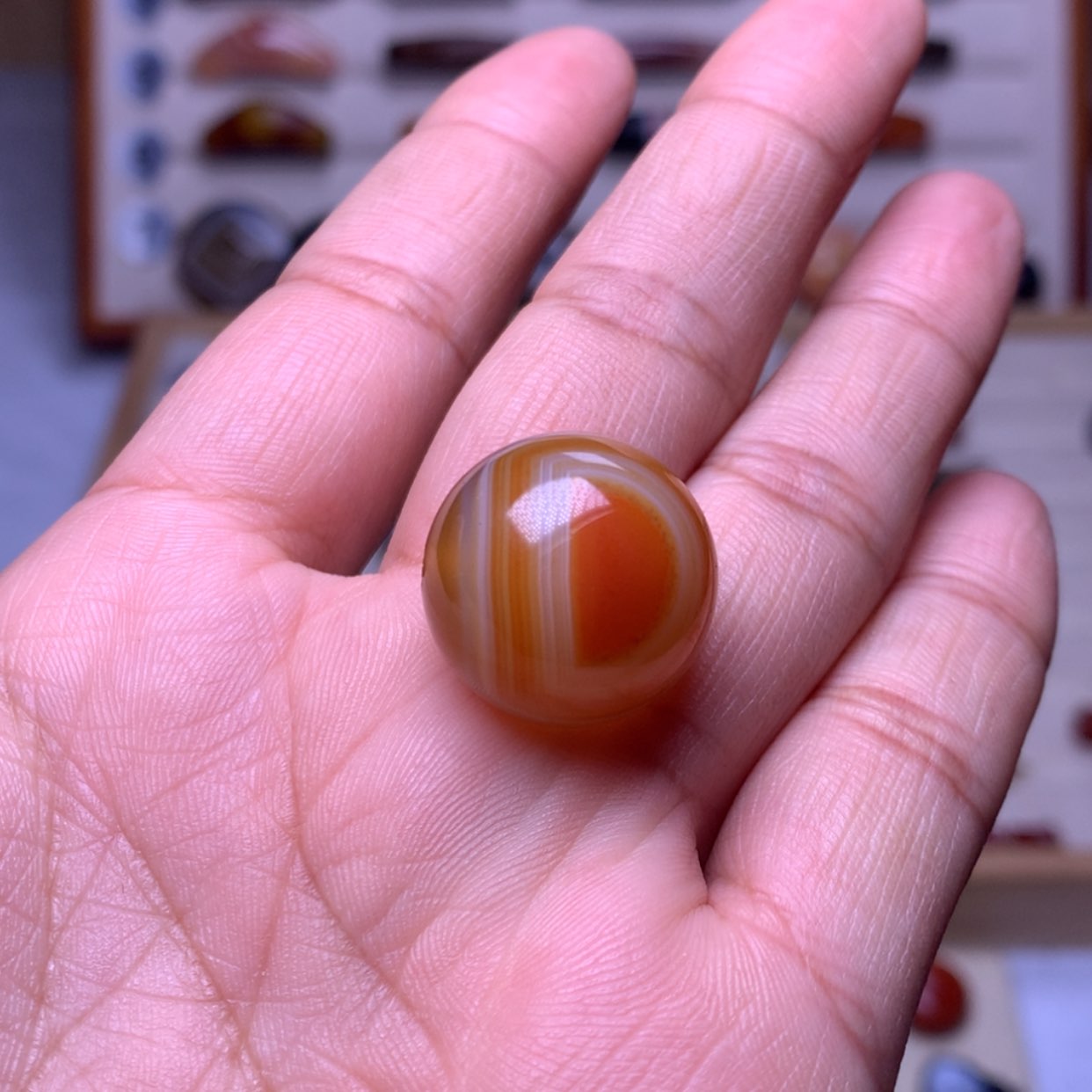 【闪购商品】玛瑙/玉髓珠宝奇石未镶嵌