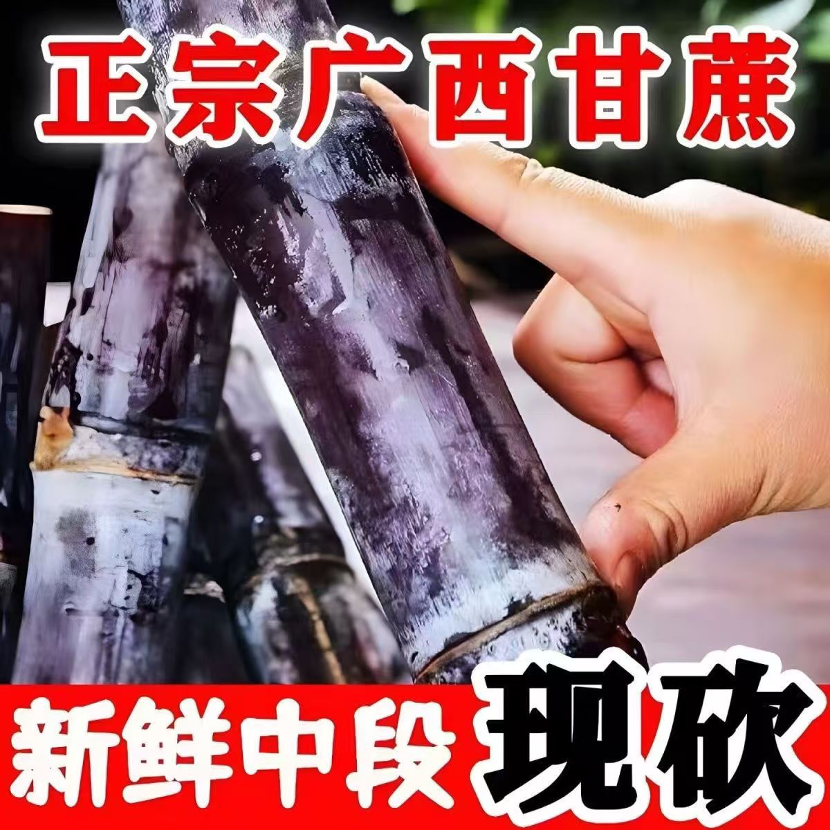广西黑皮甘蔗新鲜现砍脆甜多汁应季水果孕妇适用