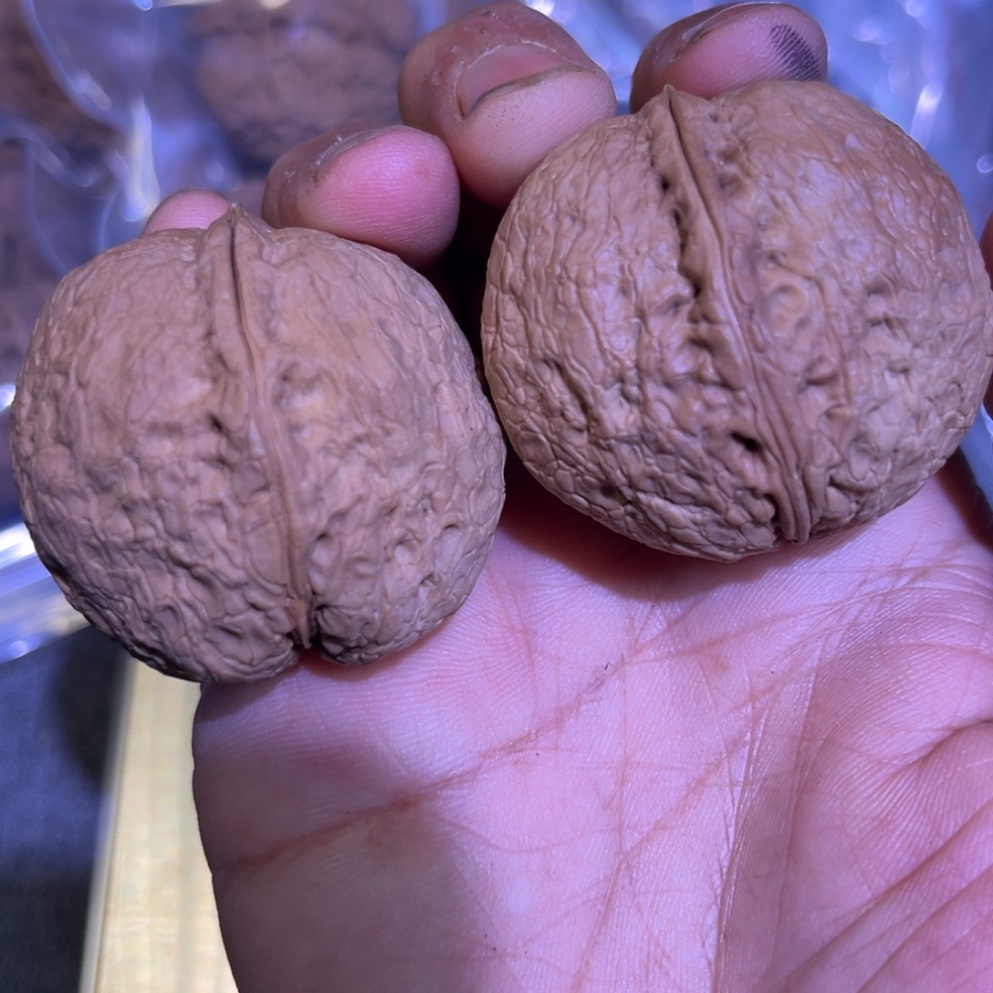 把件文玩核桃红旺云铁16号16mm