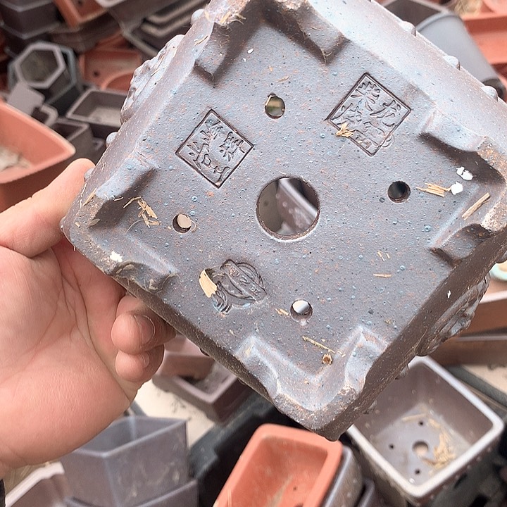 紫砂哈哈真的是太给力太