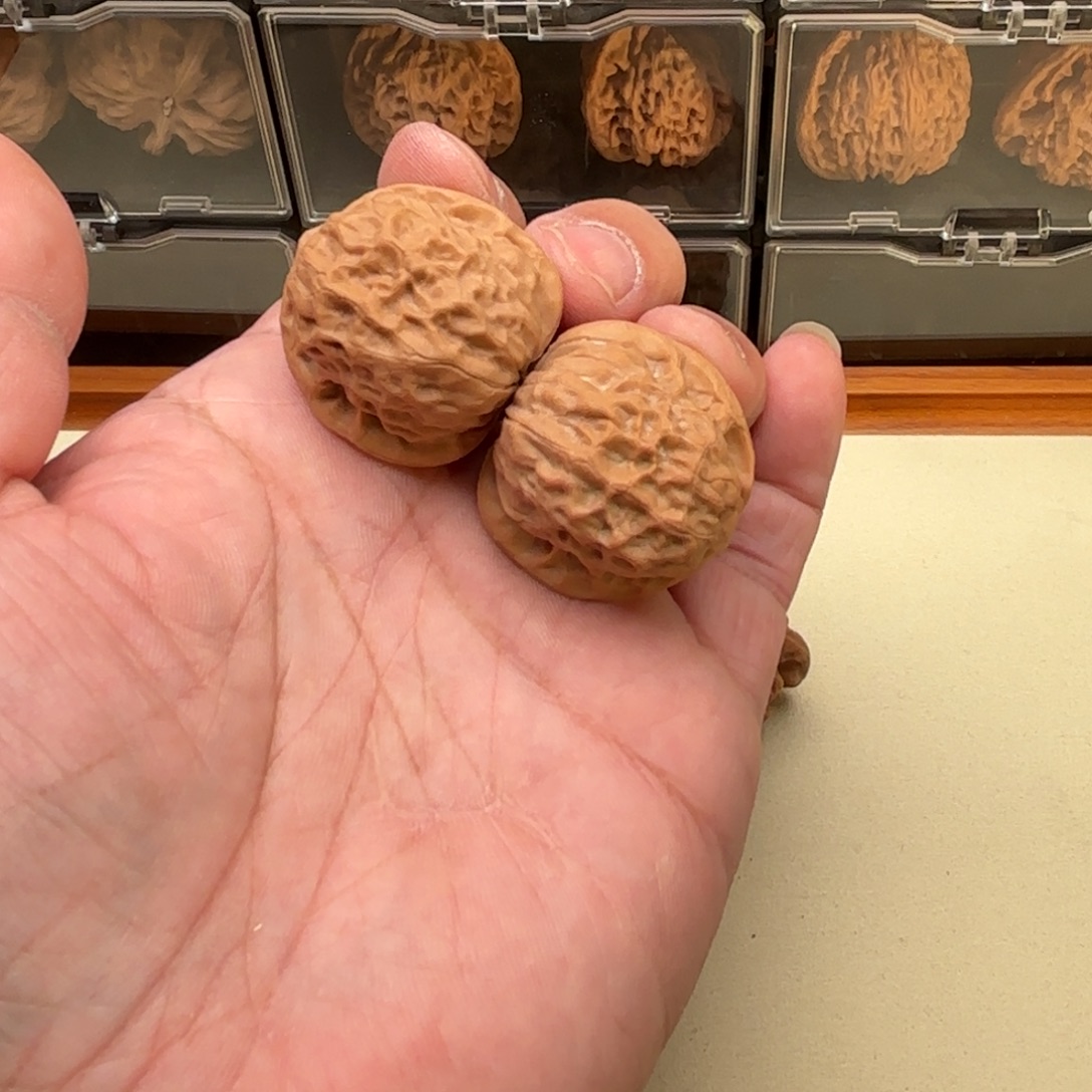 电***鱼把件文玩核桃敦煌狮子头