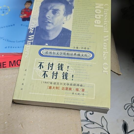 不付钱不付钱平装库存书