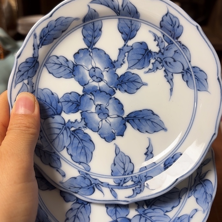 瓷片喵喵家都是大漂亮