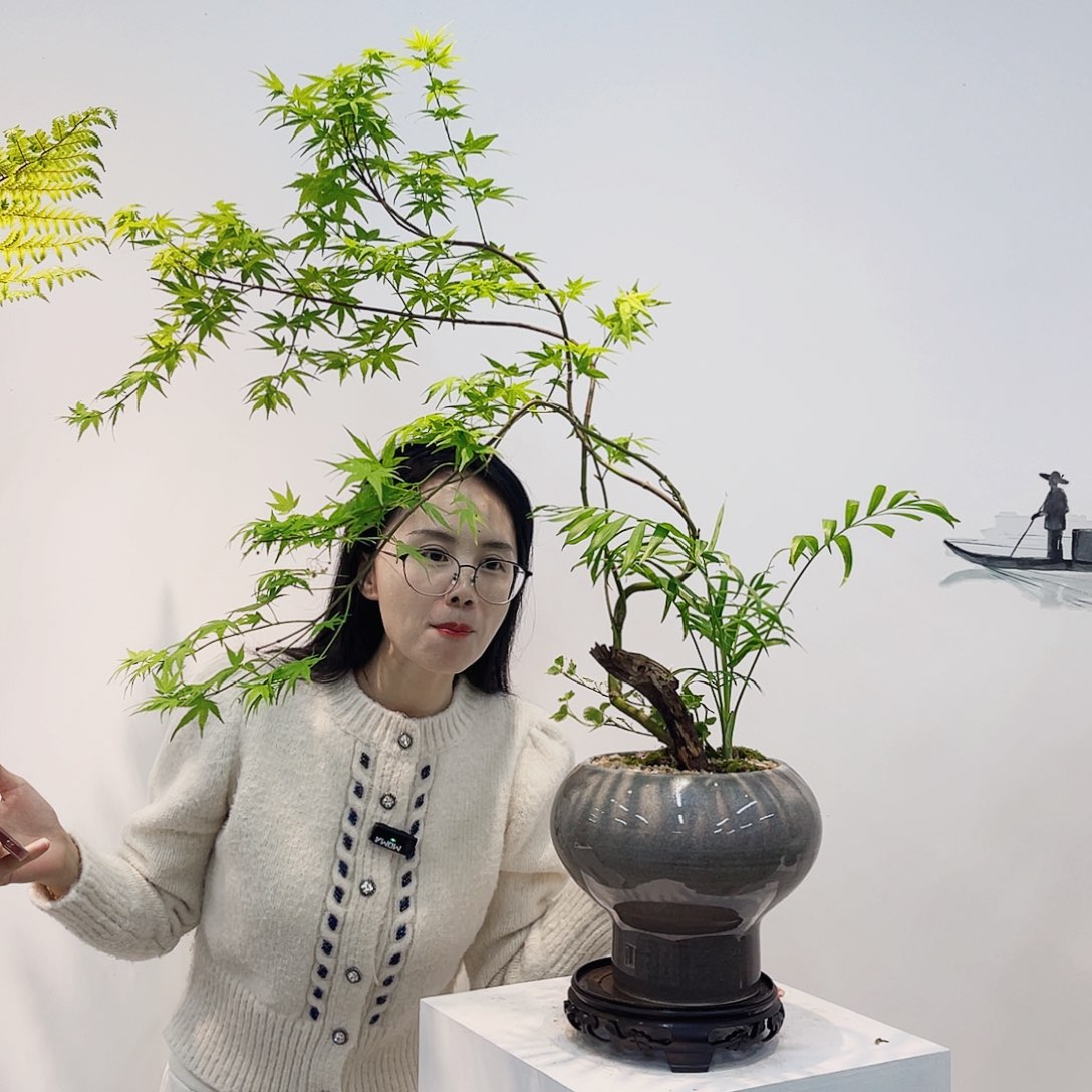 高端绿植一物一拍