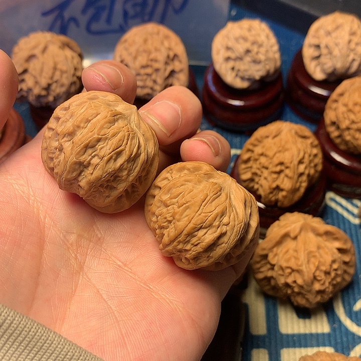 太***子35尺全品龙胆元宝