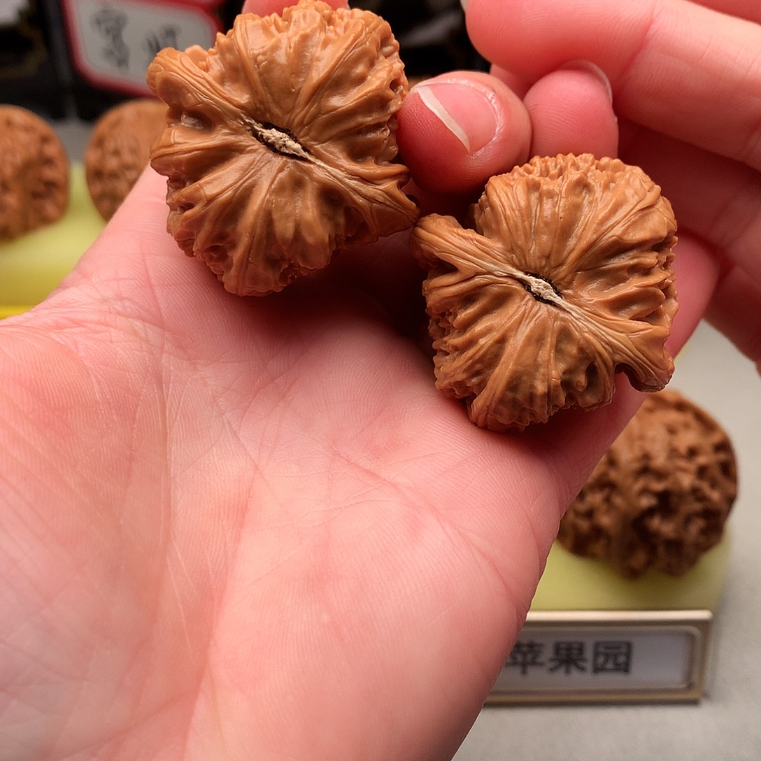 文玩核桃吊坠37尺白狮子473号