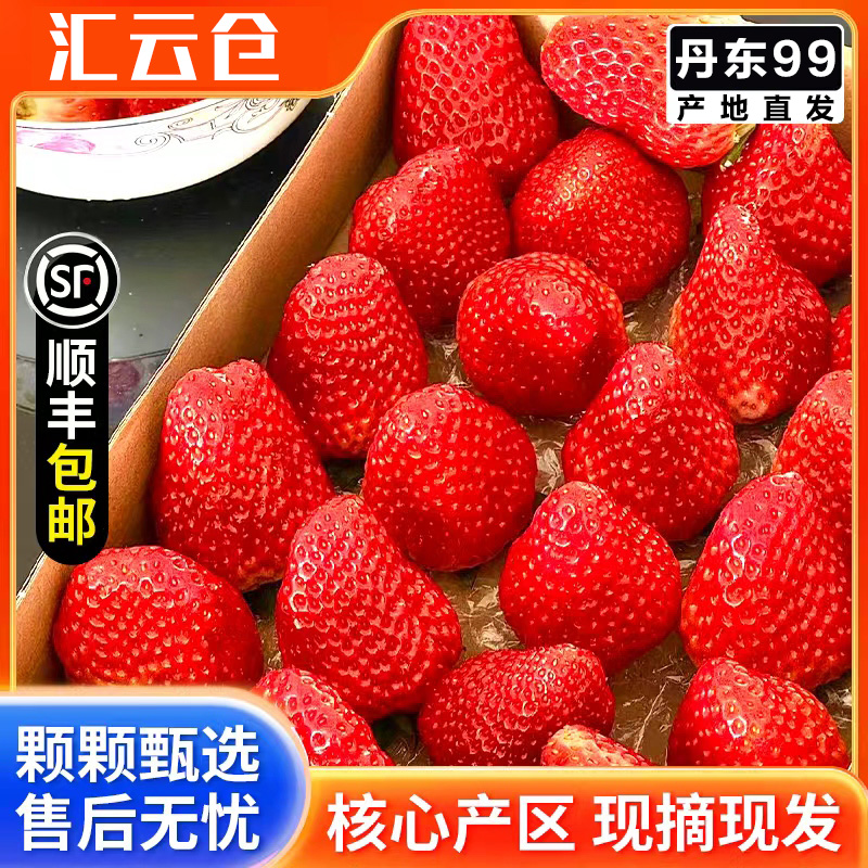 丹东九九奶香味足优质新鲜水果空运包邮草莓九九大草莓99大草莓