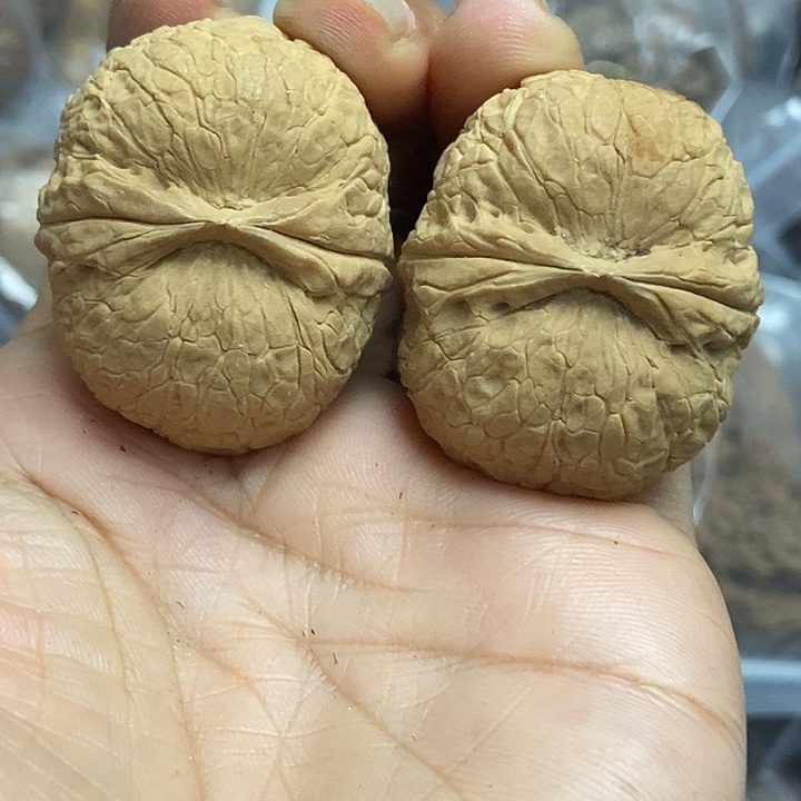 文玩核桃把件云南铁核桃基地53