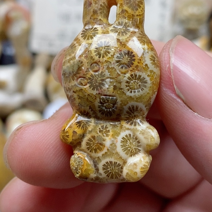 颈饰未镶嵌硅化珊瑚（珊瑚玉）