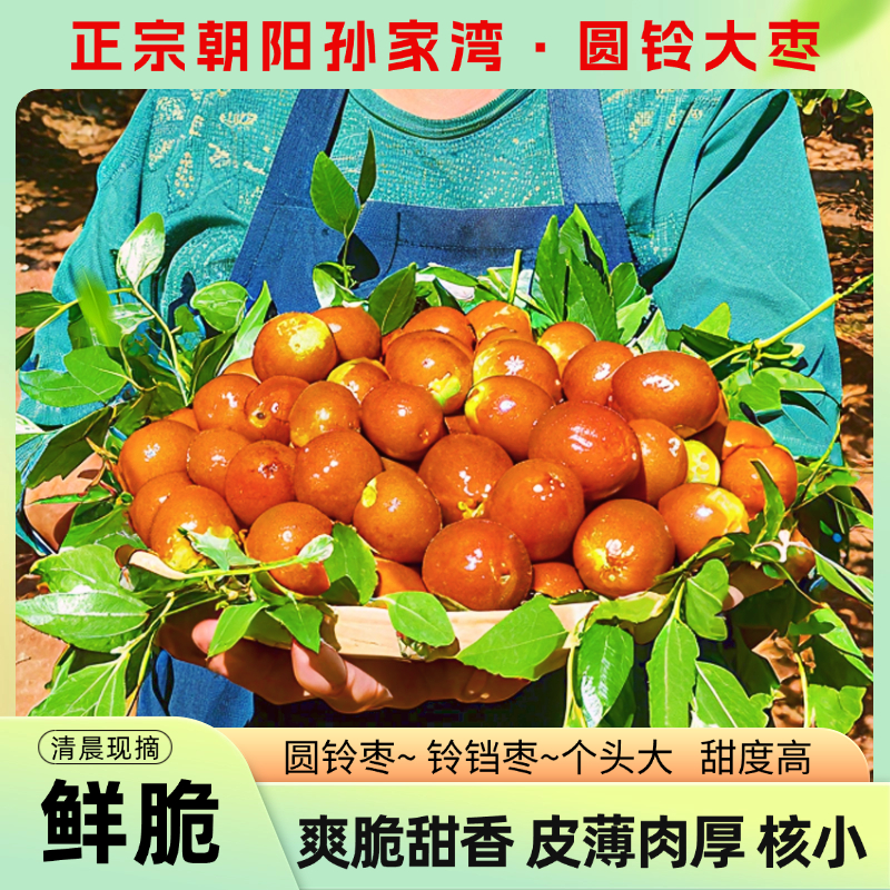 朝阳大枣圆铃铃铛枣金铃圆大铃铛枣甜枣鲜枣红枣正宗新枣脆枣特产