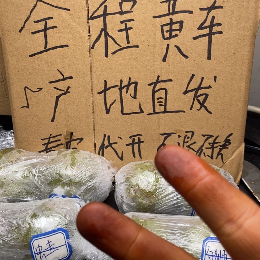 zwf产地直发白狮3