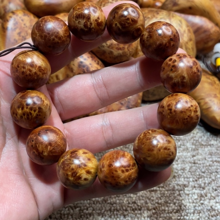 柏木（崖柏）其他2.0