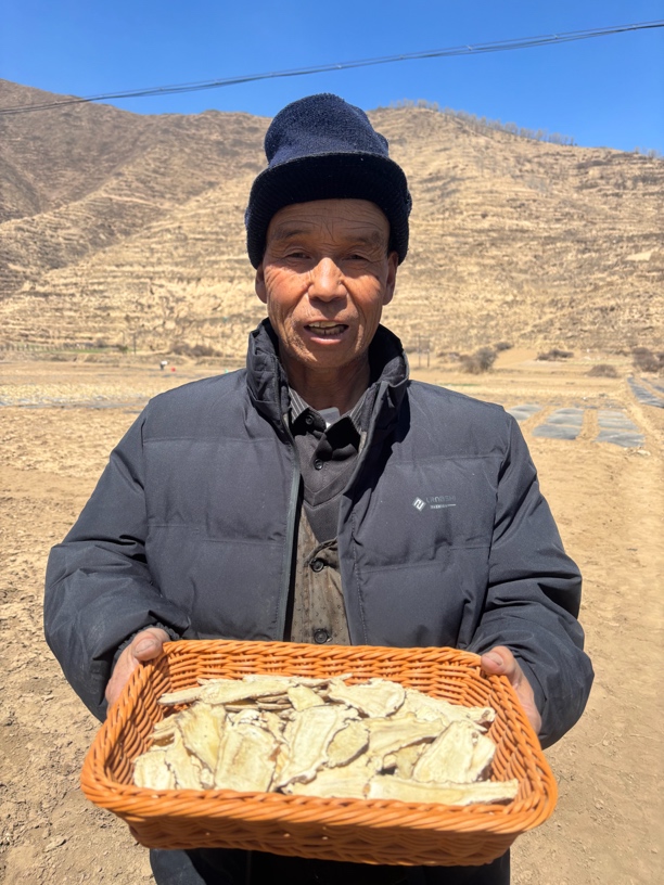 甘肃岷县当归头片精选【大片】原产地直发