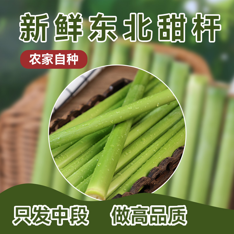 东北特产甜杆甜芦粟顺丰冷链新鲜发货童年味道