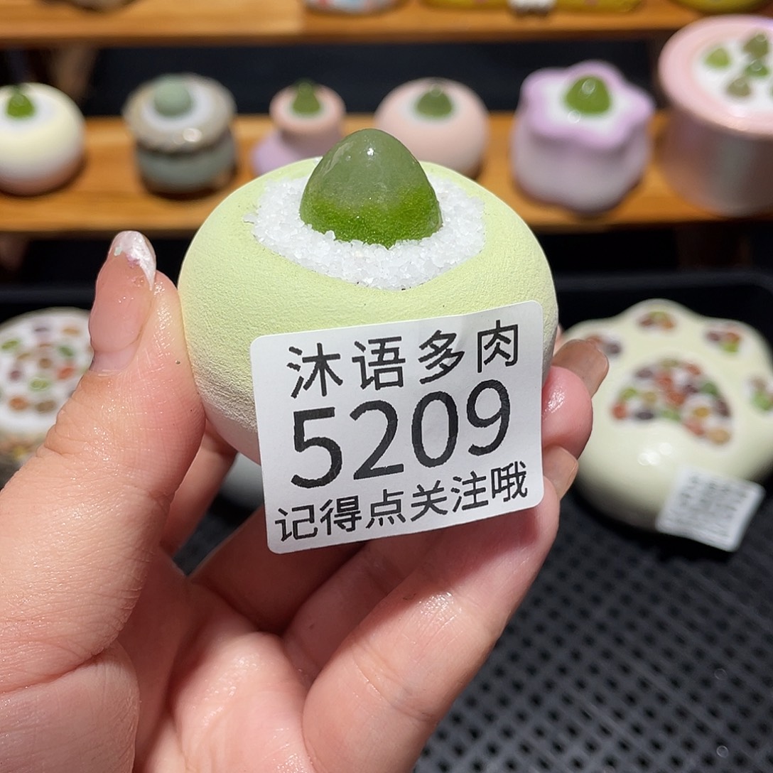一***郭带盆土植物 一物一拍5209