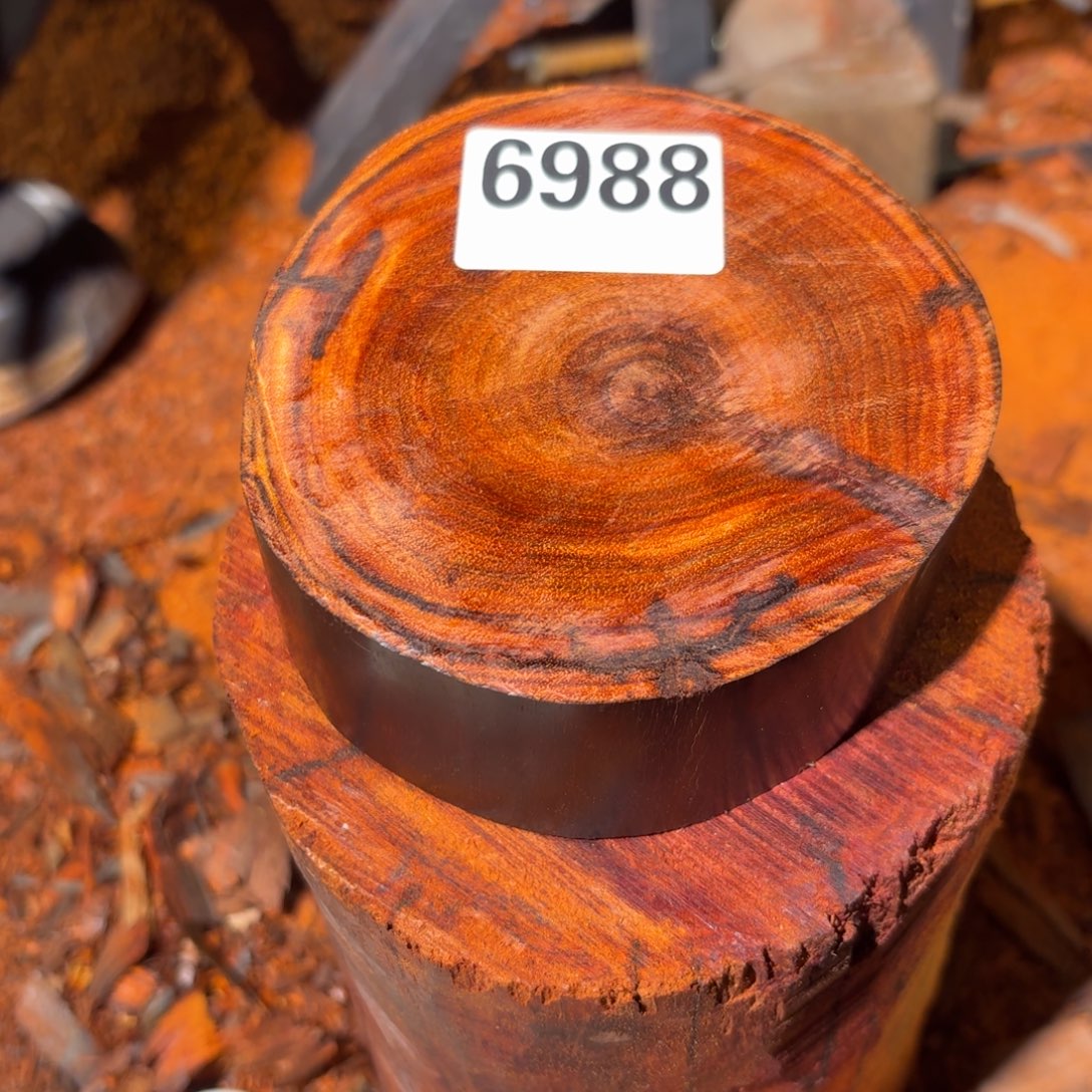 A***.染料紫檀（血檀）6988