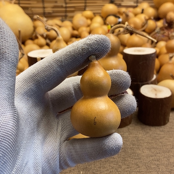 文玩葫芦 完美主义者 慎拍6