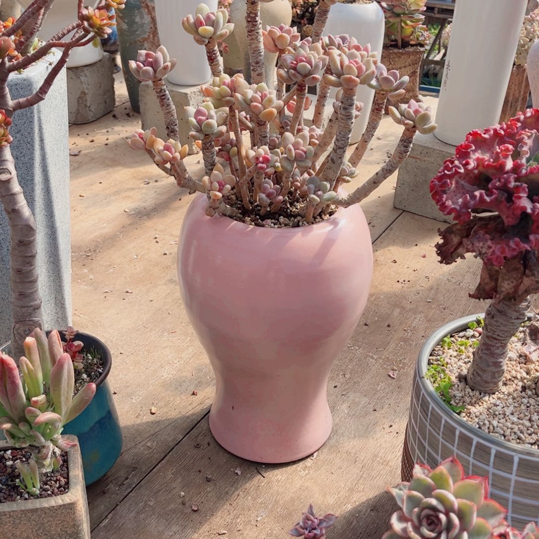 你是否．＂你在哪呢你不知道我