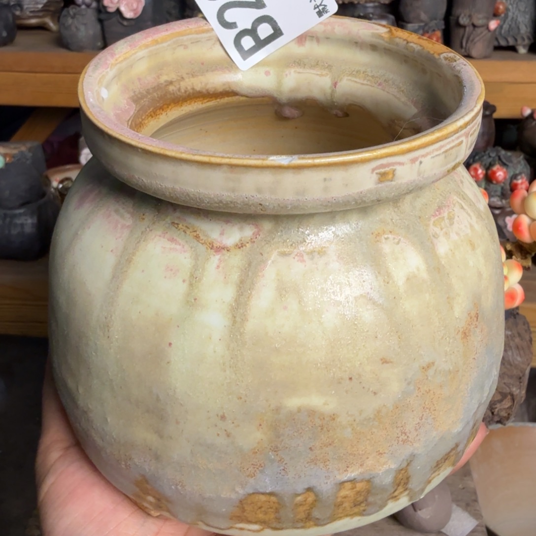 重庆小燕子欢迎大家232