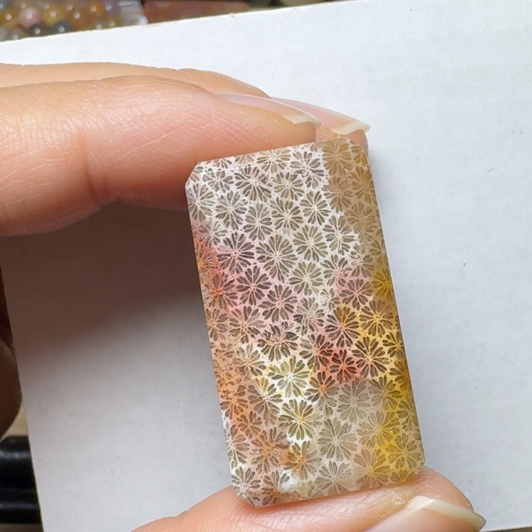 硅化玉透光很美的彩枫叶未镶嵌