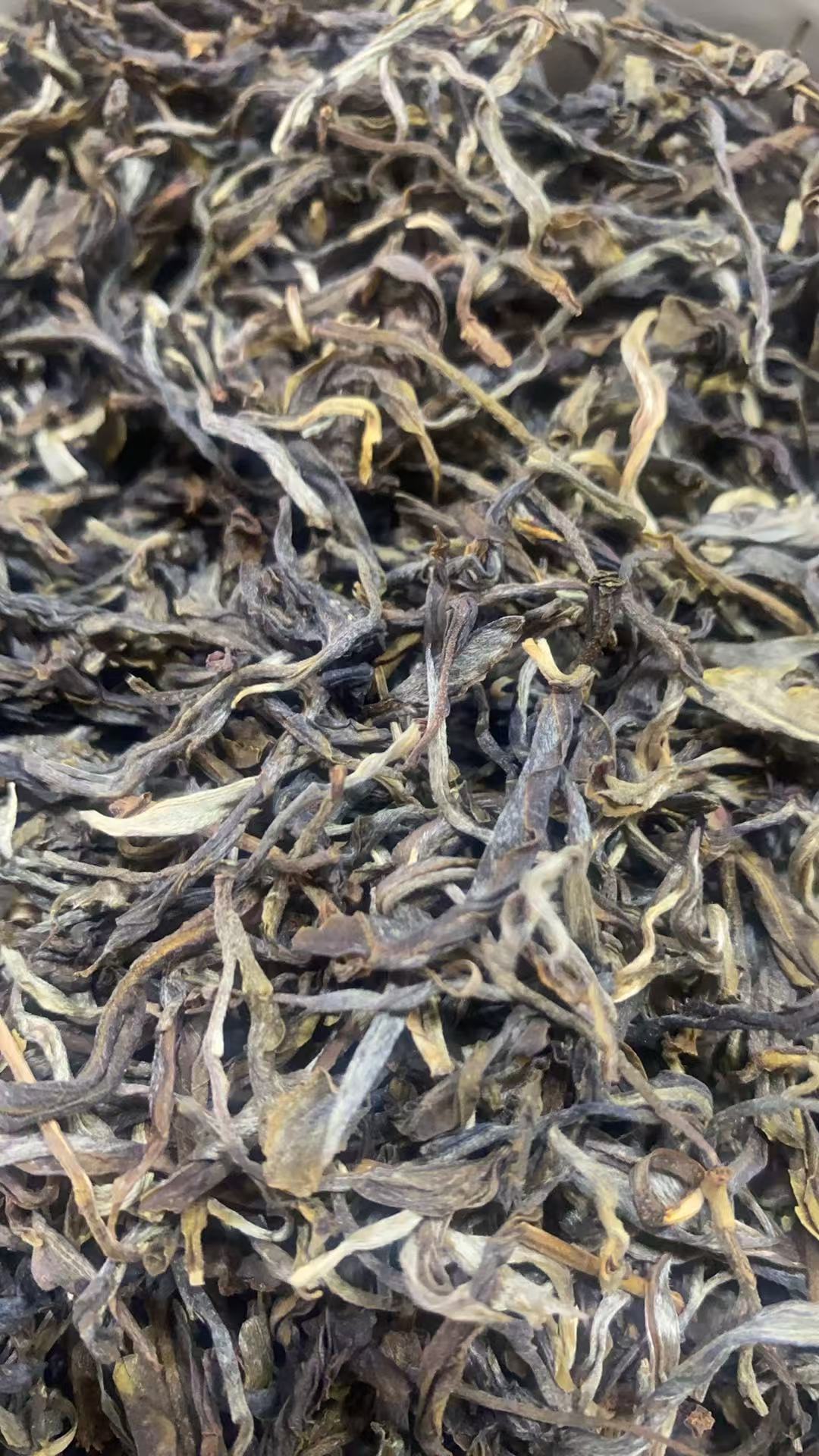 25年 攸乐  普洱茶生茶散茶
