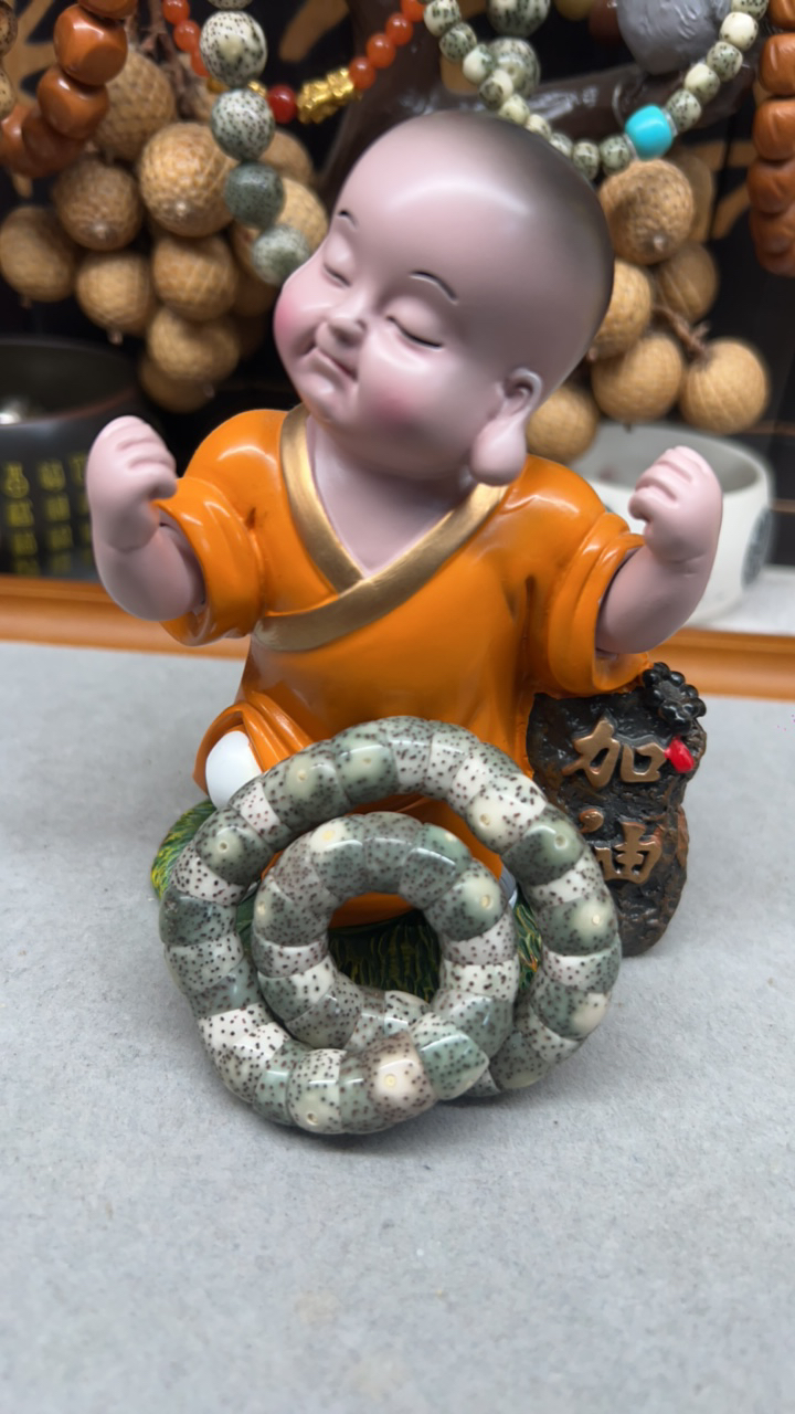 10大眼睛大肠海南原生态星月菩提