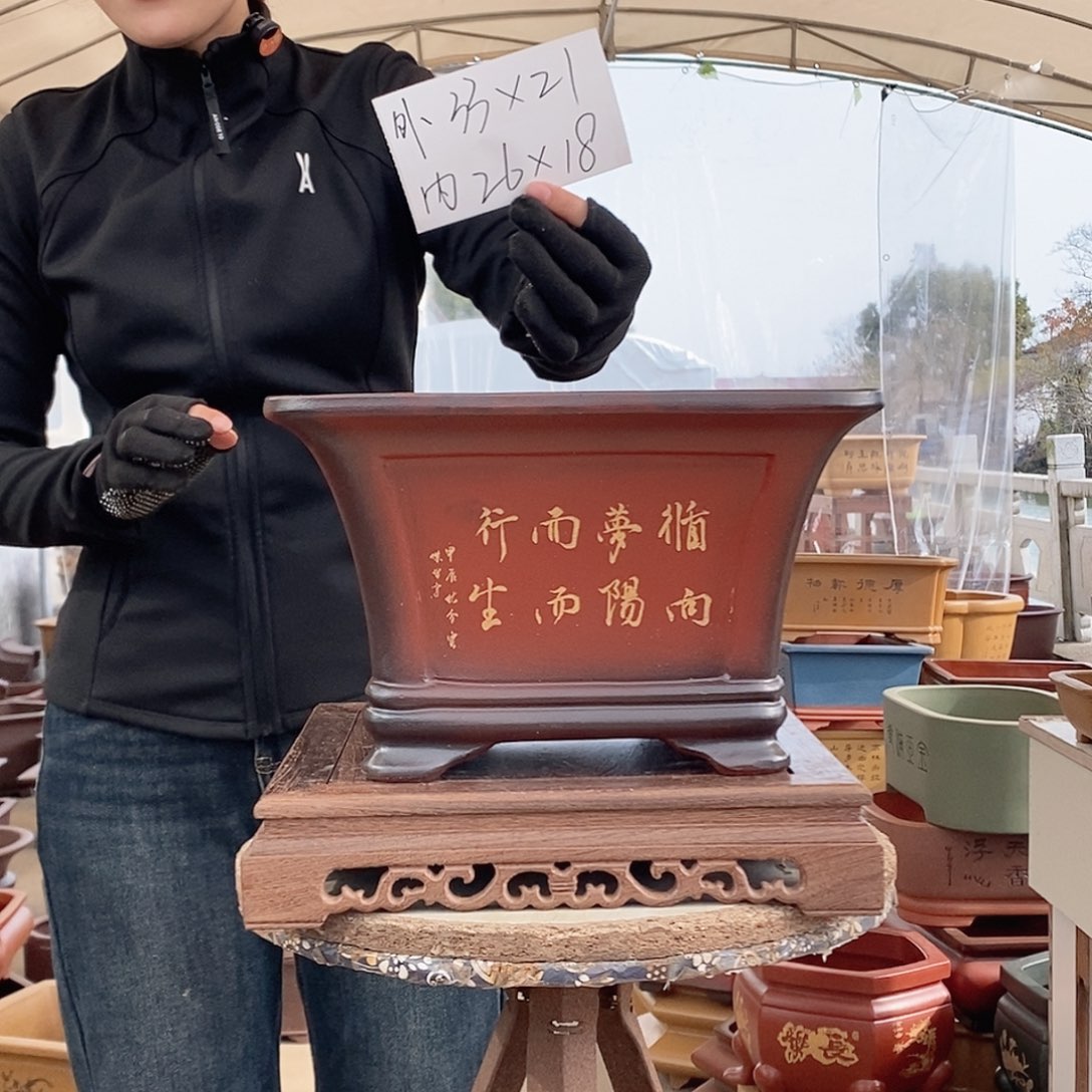 花盆紫砂紫砂花盆