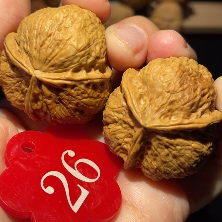 核桃虎皮三棱，核。桃3.5