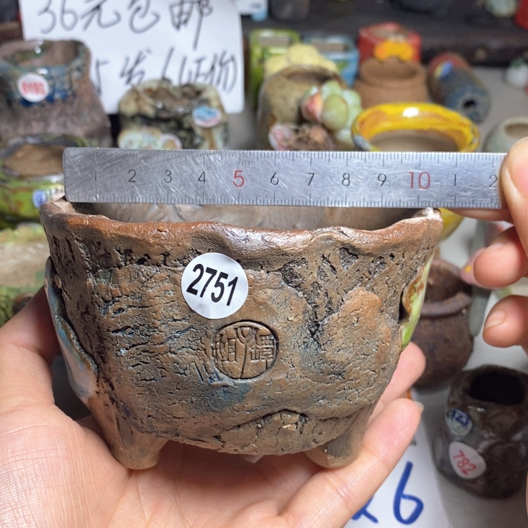 拍5送一个小礼物