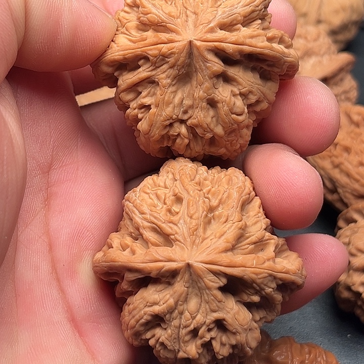文玩核桃把件粗筋48
