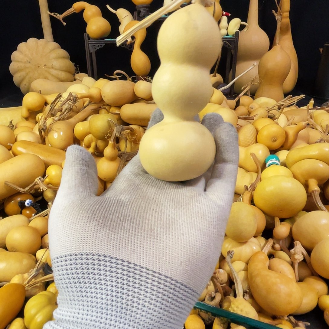 都***！666666666666666666666