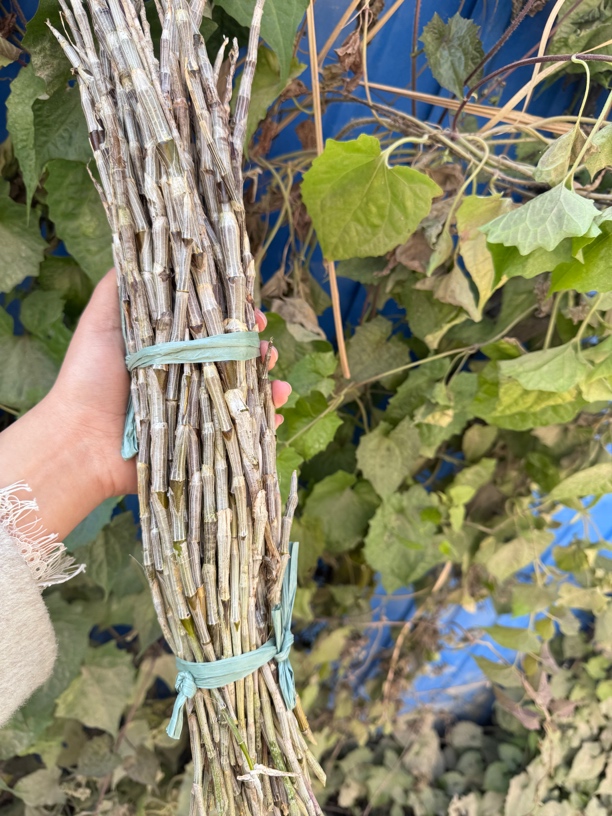 【彭彭现収山货】鲜-石-斛-条-700g-1400g食农产品