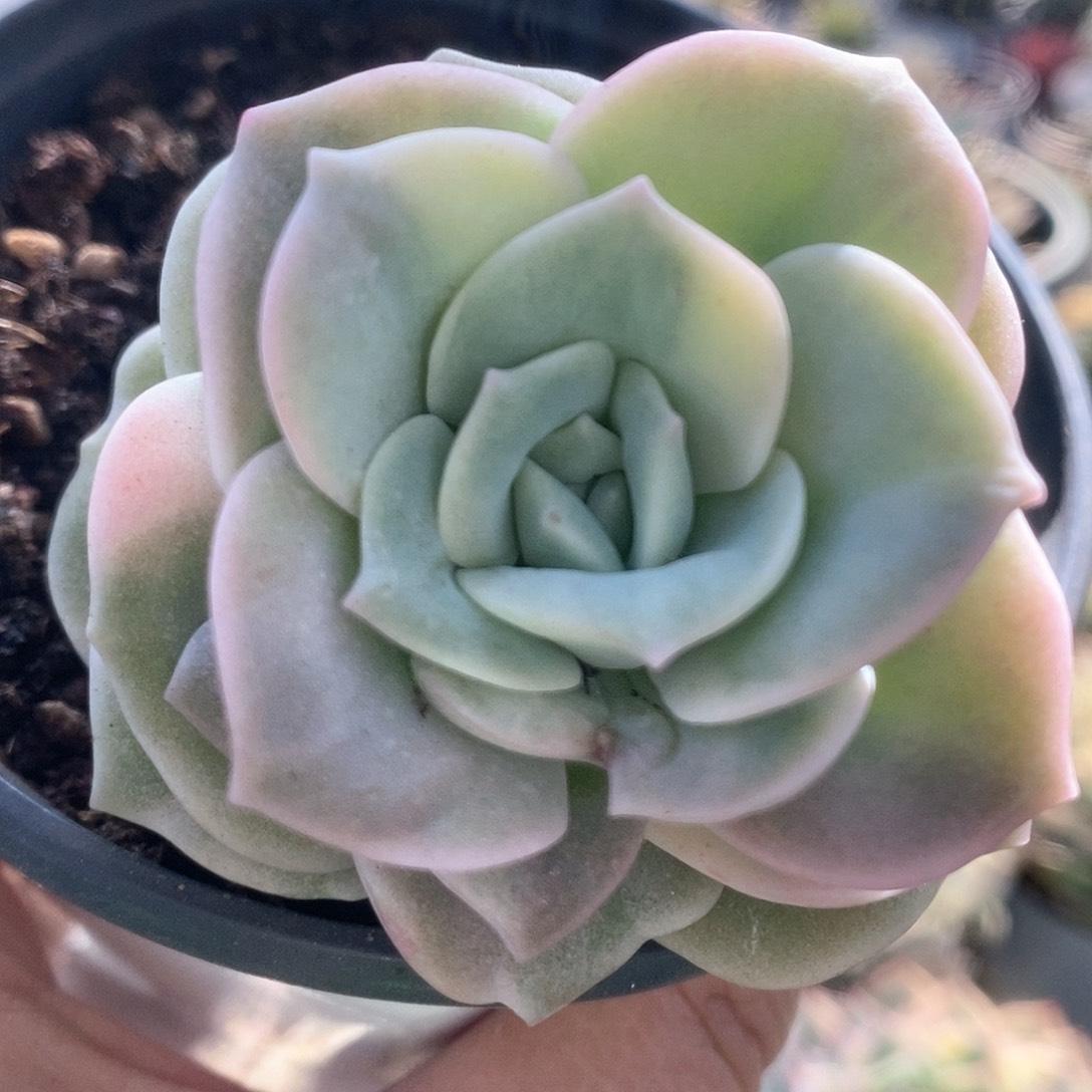 063哈哈哈哈哈哈哈哈哈哈