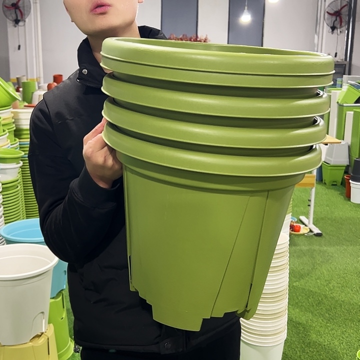 清仓青山口40高34果绿色5只无托